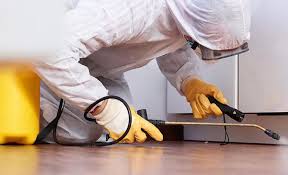 Best Pest Control for Multi-Family Homes  in Upper Ack, NY